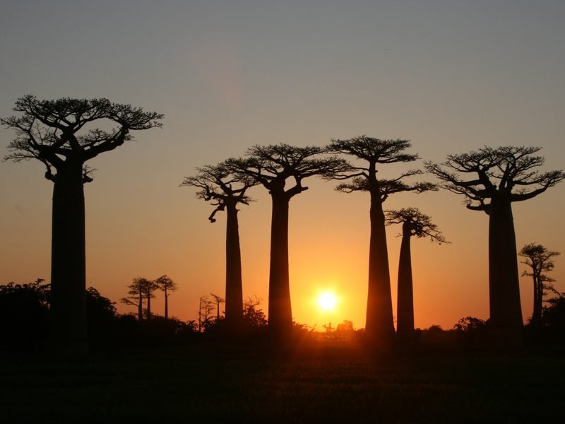 Morondava & l’Ouest