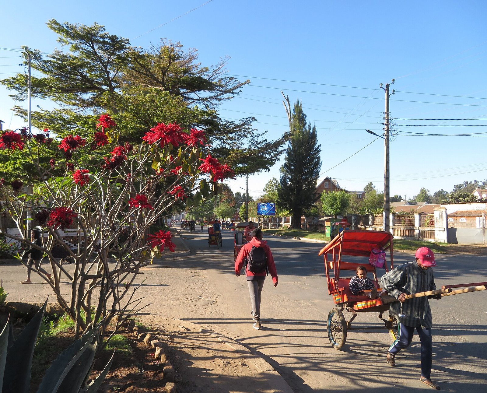 Pousse-pousse coloré dans une rue d’Antsirabe