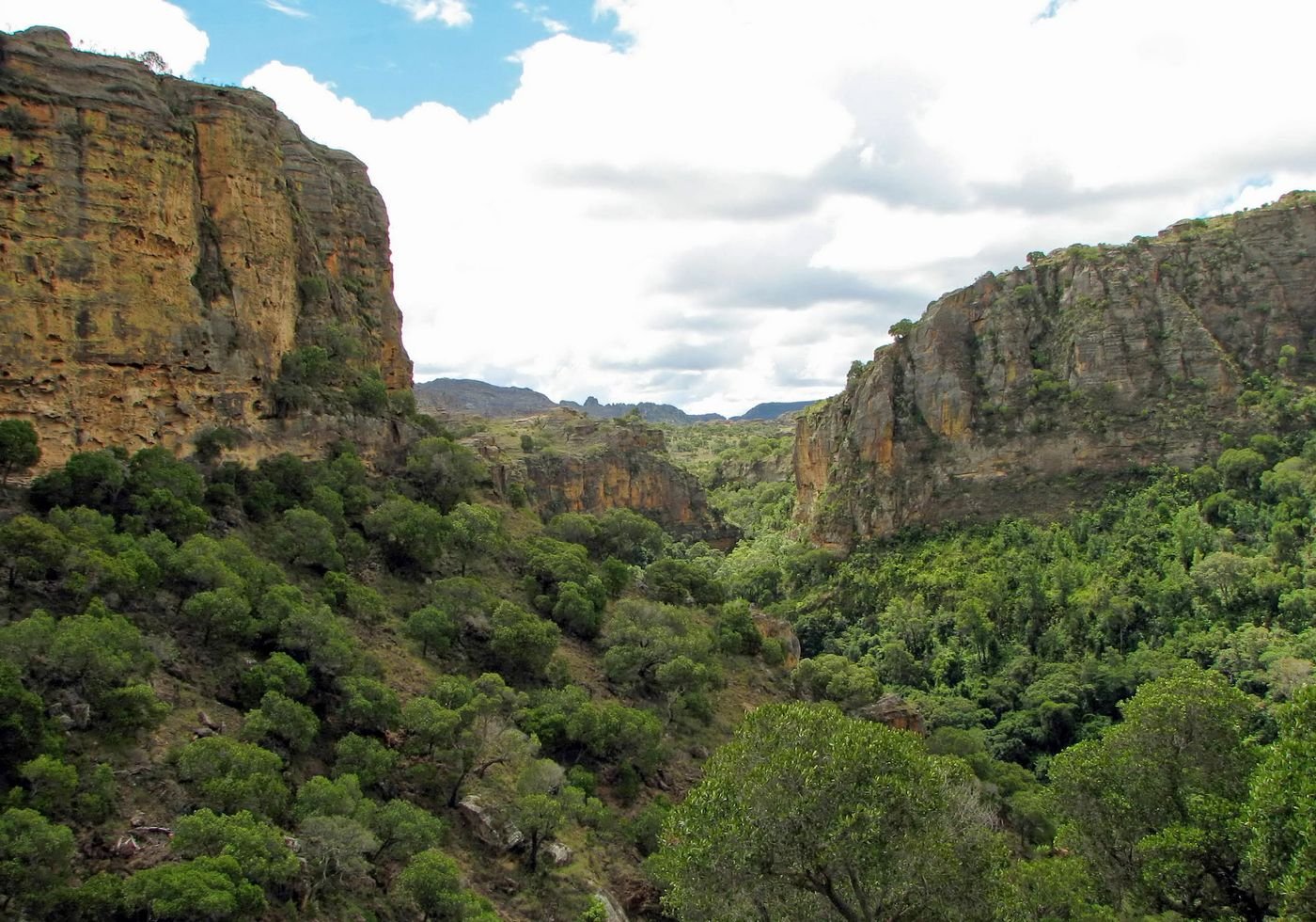 Un canyon verdoyant du parc de l’Isalo