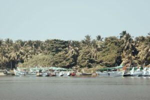 Pirogues et cocotiers sur la côte est, vers Tamatave