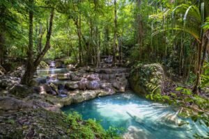 Bassin naturel dans la forêt de la Montagne d’Ambre