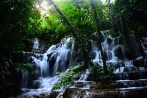 Cascade dans la forêt de la Montagne d’Ambre