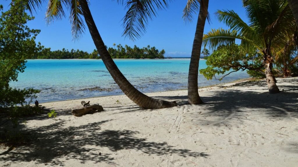 Plage de sable blanc et cocotier penché à l’Île aux Nattes