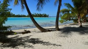Plage de sable blanc et cocotier penché à l’Île aux Nattes