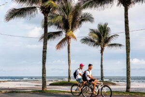 Cyclistes longeant une plage bordée de cocotiers à Sainte-Marie