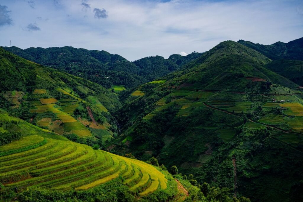 Rizières en terrasses des Hauts-Plateaux, vers Fianarantsoa