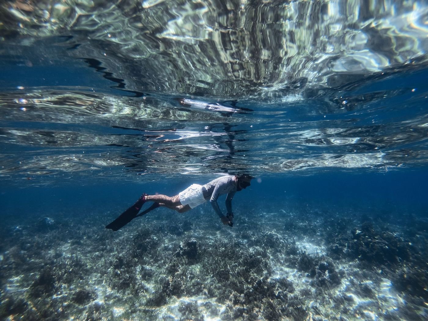 Snorkeling au-dessus d’un récif corallien