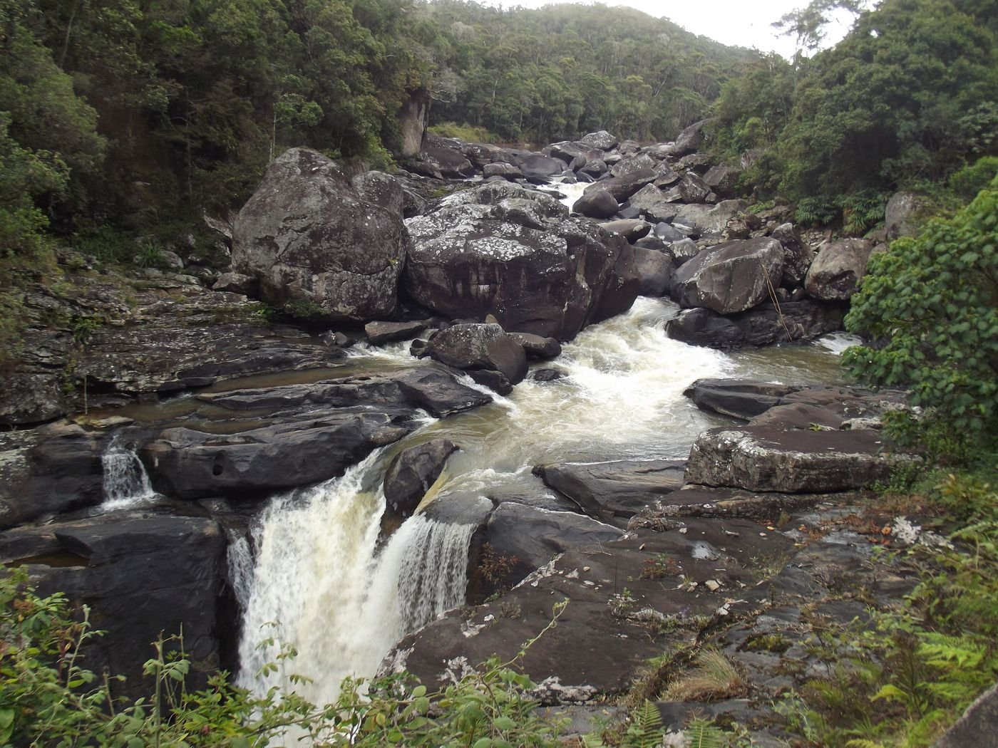 La rivière Namorona traverse la forêt de Ranomafana
