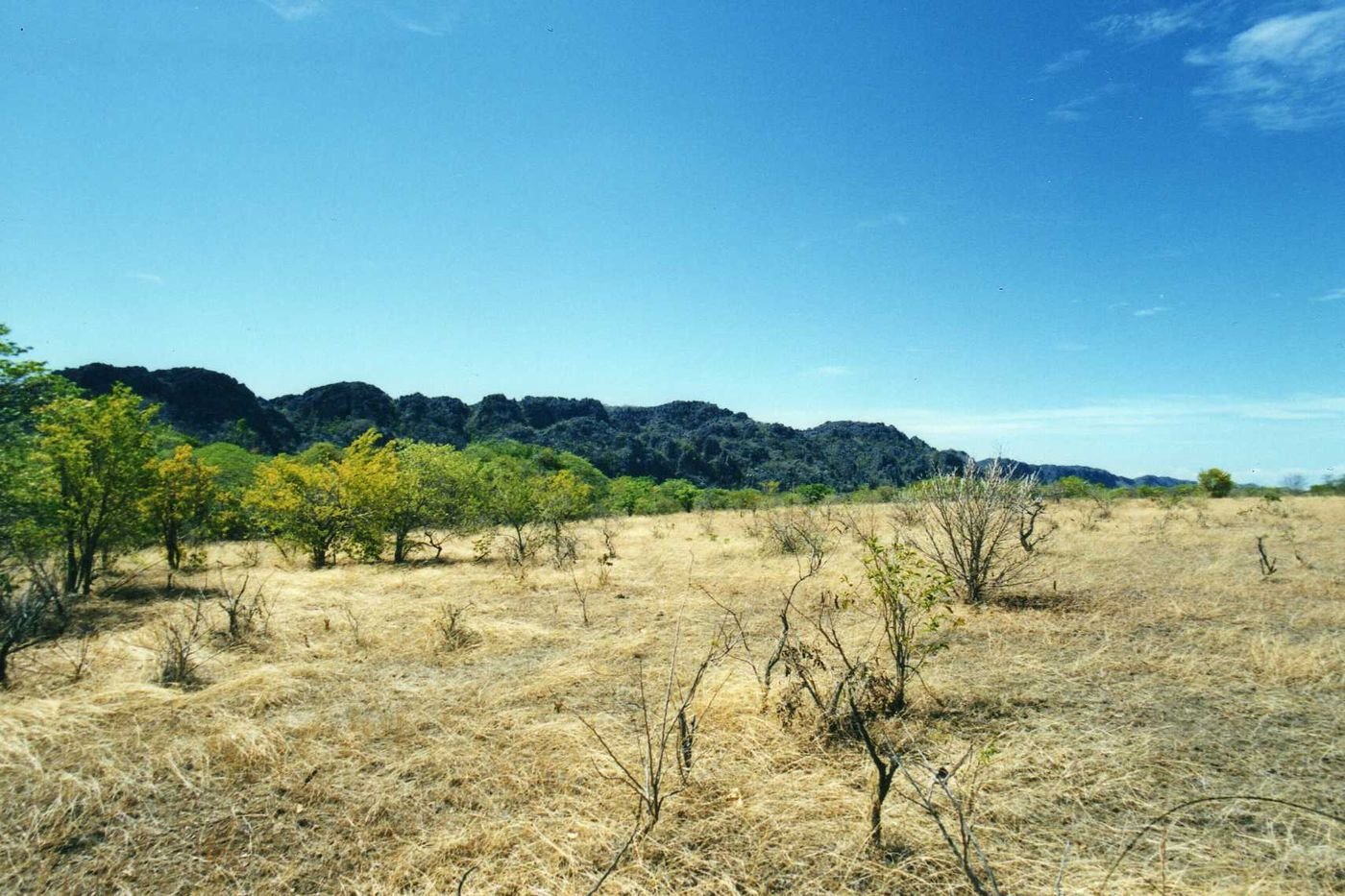 Le massif de l’Ankarana au-dessus de la forêt sèche