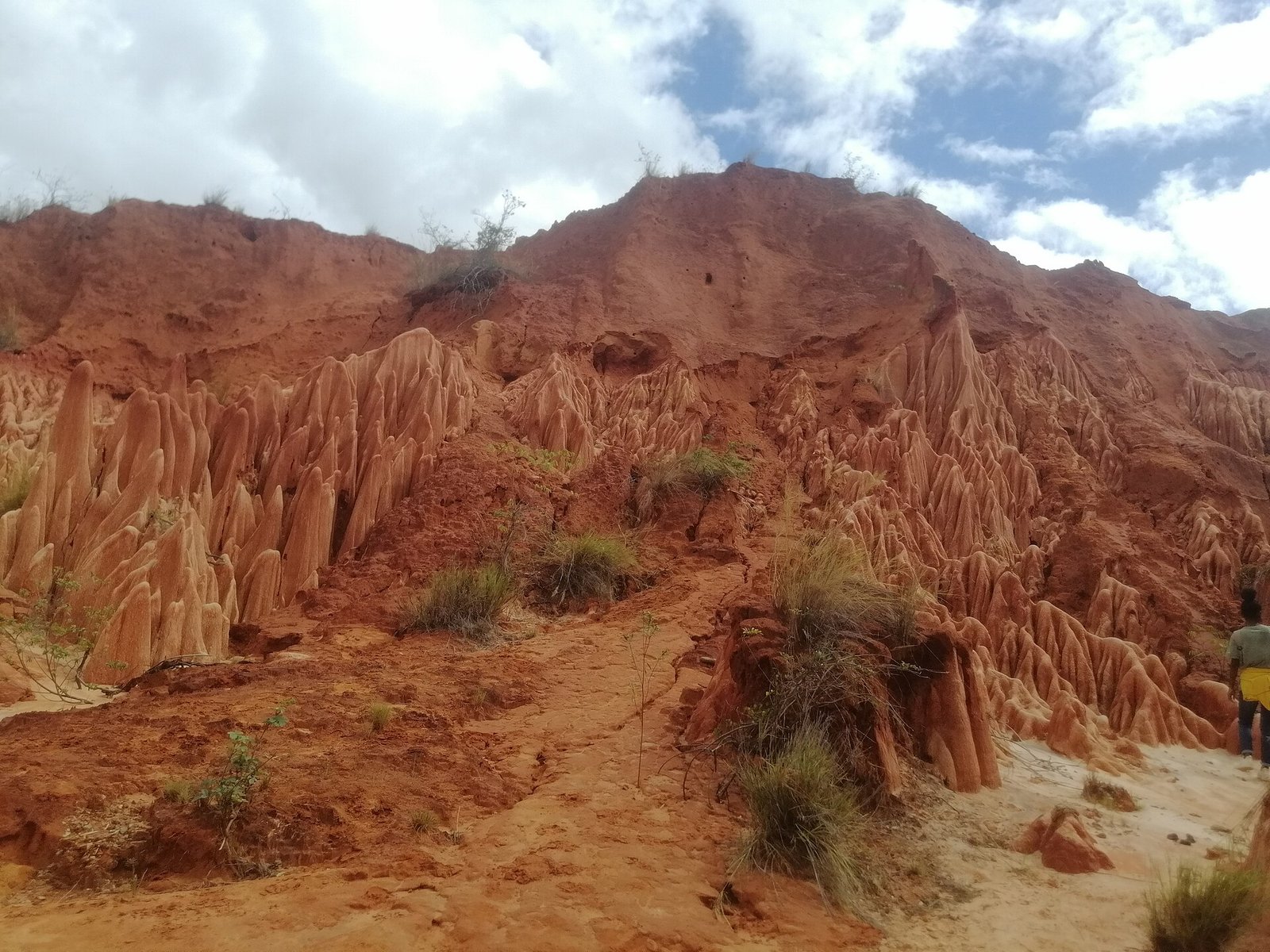 Pinacles de latérite des tsingy rouges près de Diego-Suarez